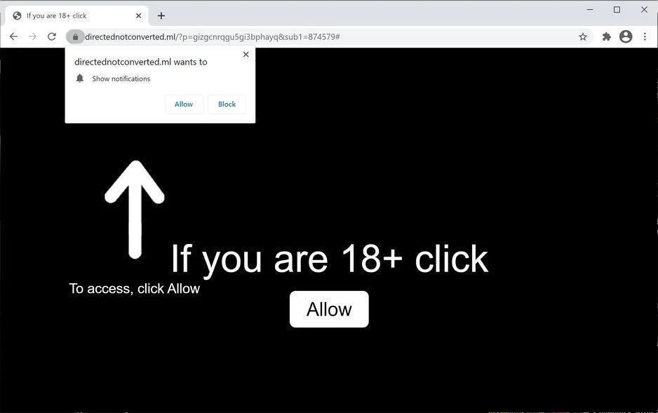 Remove Directednotconverted.ml pop-up ads (Virus Removal Guide) 1 Image: Chrome browser is redirected to Directednotconverted.ml