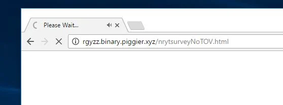 rgyzz.binary.piggier.xyz virus