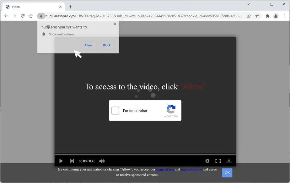 Image: Chrome browser is redirected to Arashpar.xyz