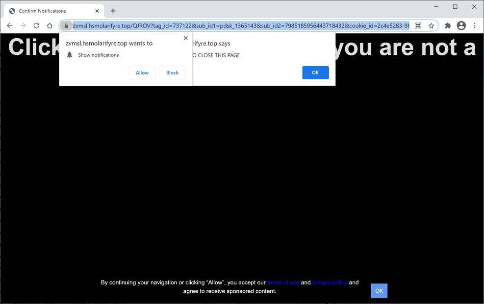Remove Hsmolarifyre.top pop-up ads (Virus Removal Guide) 1 Image: Chrome browser is redirected to Hsmolarifyre.top
