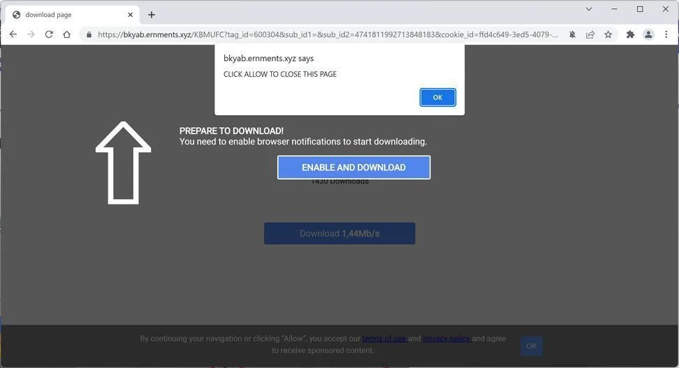Image: Chrome browser is redirected to Ernments.xyz