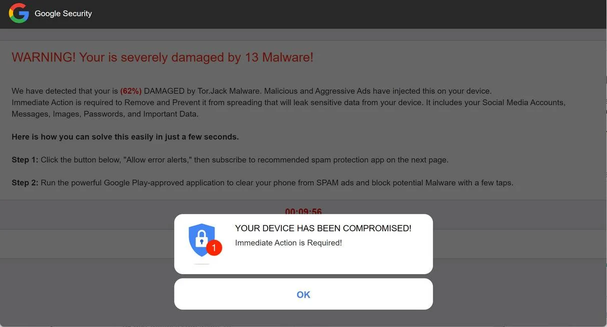 dev-defense.com scam
