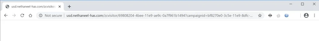 How to remove Usd.nethaneel-has.com redirect (Virus Removal Guide) 1 Image: Chrome browser is redirected to Usd.nethaneel-has.com