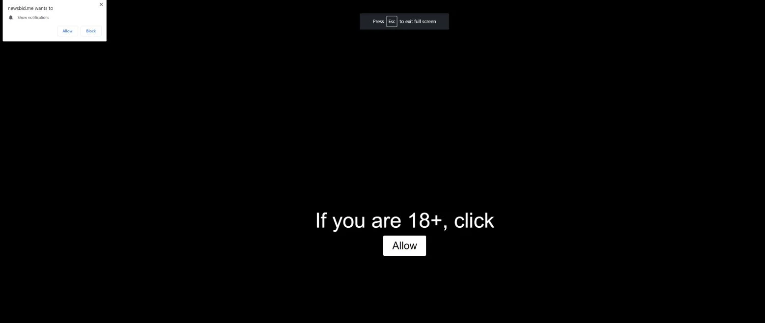 Image: Chrome browser is redirected to Newsbid.me