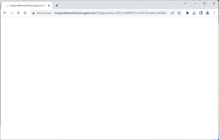 Image: Irreparablewretchsurrogate.com Ads