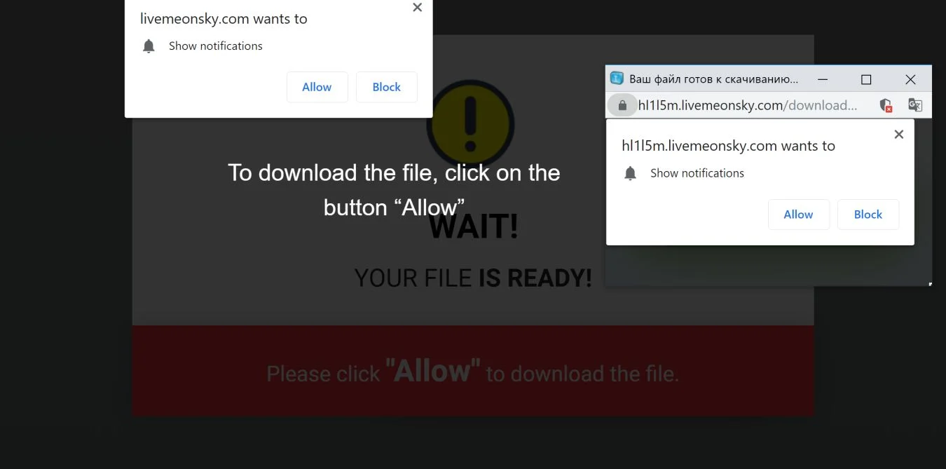 How to remove Livemeonsky.com pop-up ads (Virus Removal Guide) 1 Image: Chrome browser is redirected to Livemeonsky.com