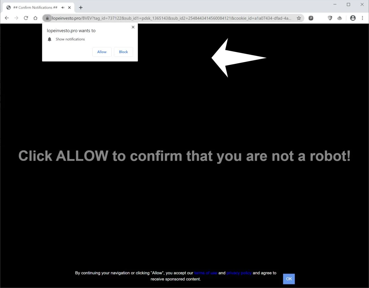 Image: Chrome browser is redirected to Lopeinvesto.pro