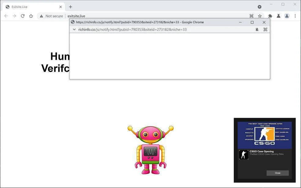 Remove Richinfo.co pop-up ads (Virus Removal Guide) 1 Image: Chrome browser is redirected to Richinfo.co