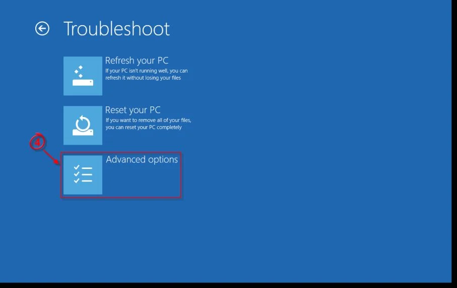[Image: Windows 8 Advanced options]