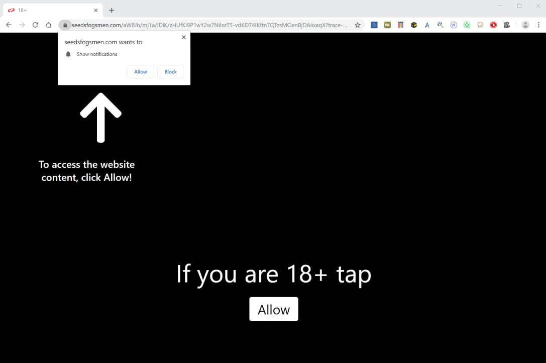 How to remove Seedsfogsmen.com pop-up ads (Virus Removal Guide) 1 Image: Chrome browser is redirected to Seedsfogsmen.com