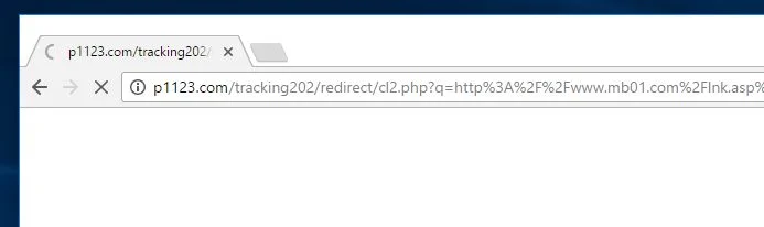 P1123.com virus