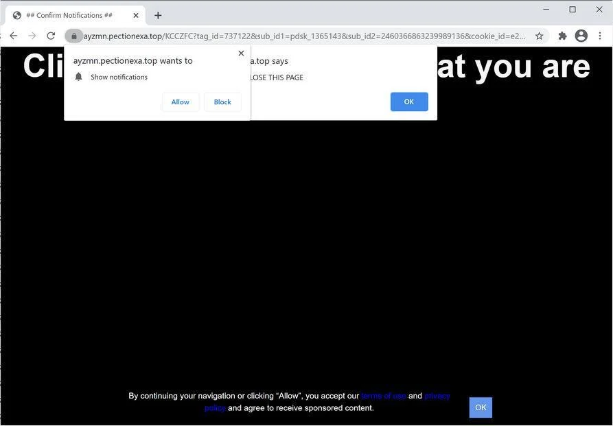Remove Pectionexa.top pop-up ads (Virus Removal Guide) 1 Image: Chrome browser is redirected to Pectionexa.top