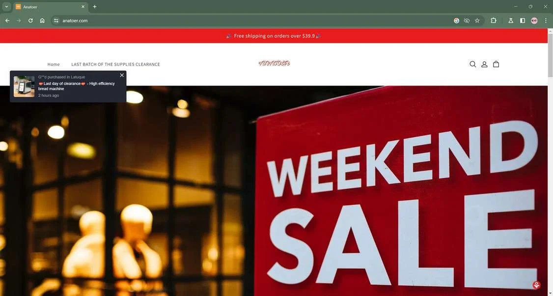 Anatoer.com Store Scam - Don't Become A Victim 1 Anatoer.com scam