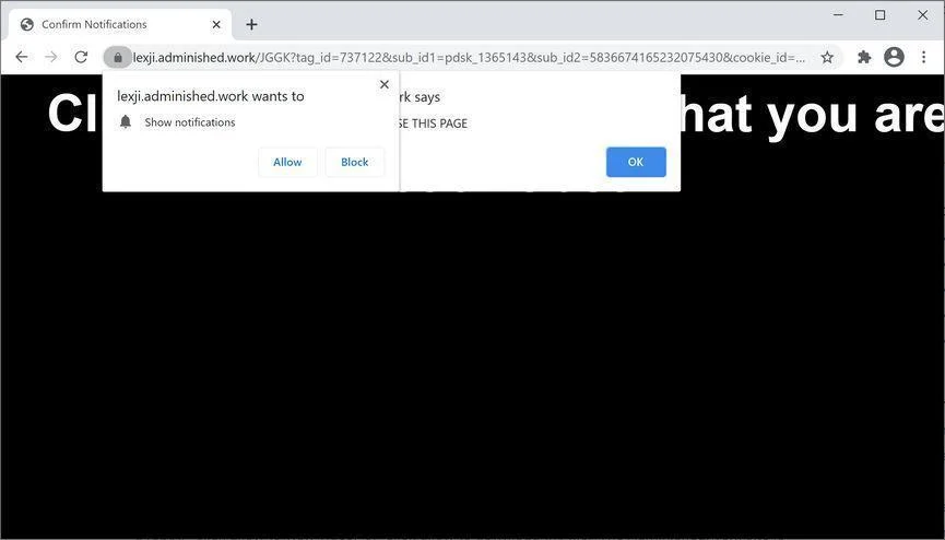Remove Adminished.work pop-up ads (Virus Removal Guide) 1 Image: Chrome browser is redirected to Adminished.work