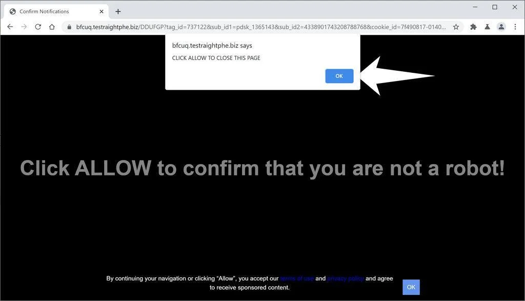 Image: Chrome browser is redirected to Testraightphe.biz