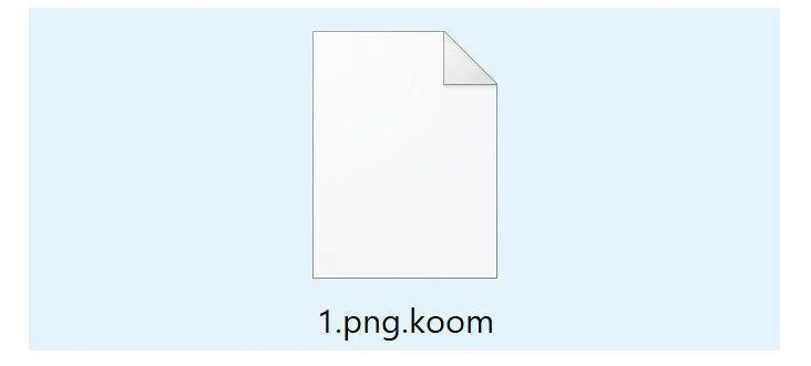 Image: KOOM File Encrypted