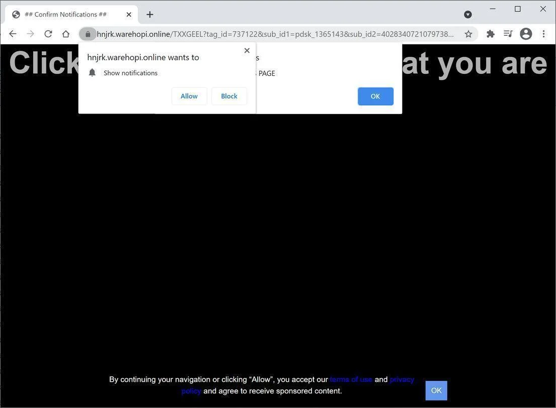 Remove Warehopi.online pop-up ads (Virus Removal Guide) 1 Image: Chrome browser is redirected to Warehopi.online