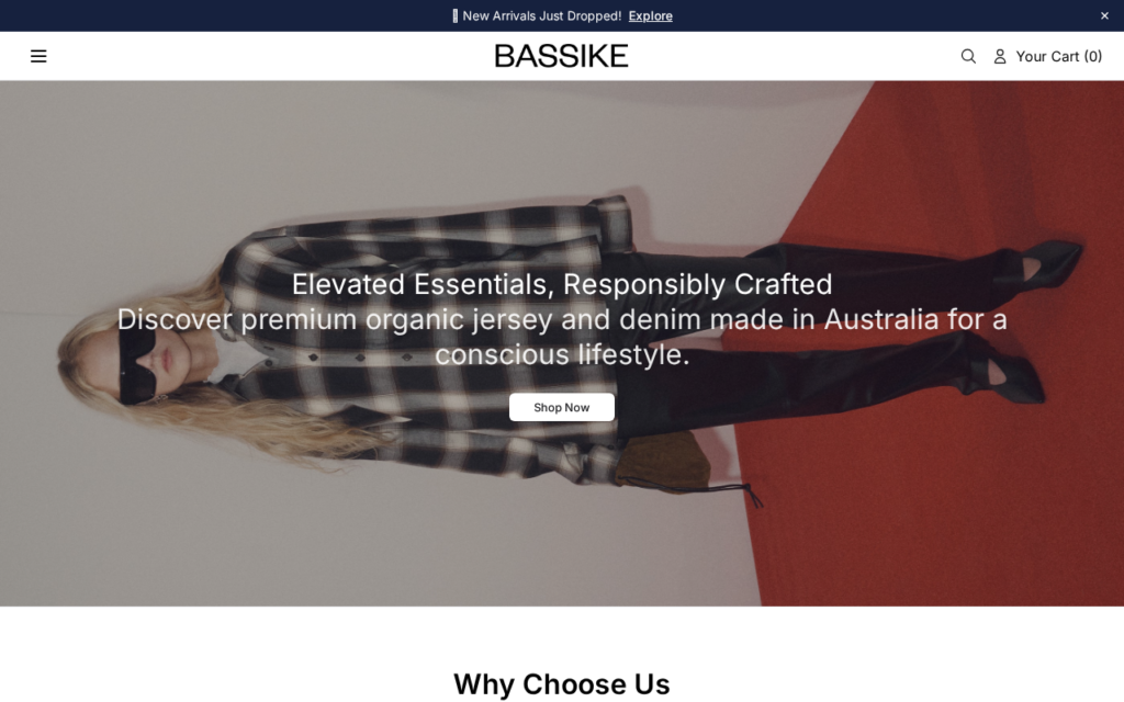 Bassikeshop.shop EXPOSED - Fake or Real? Store Investigation 1 Bassikeshop.shop scam