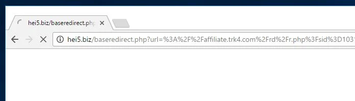Hei5.biz virus