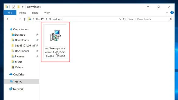 Double-click on mb3-setup to install Malwarebytes Help