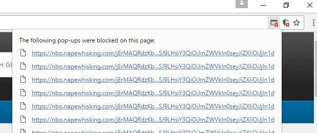 Nbo.napewhisking.com redirect