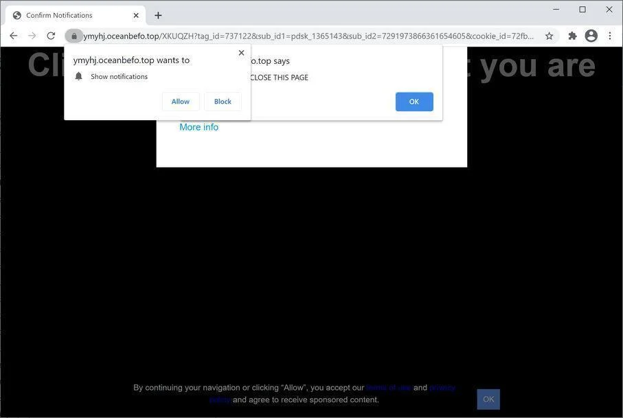 Image: Chrome browser is redirected to Oceanbefo.top