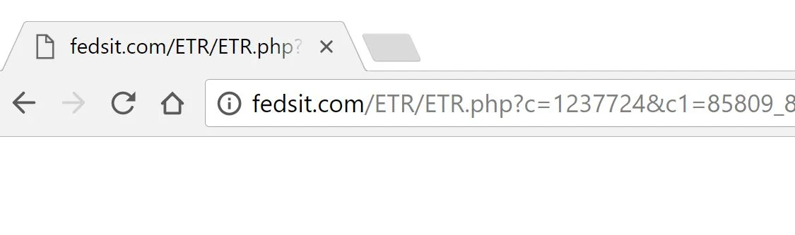 Fedsit.com Redirect Virus