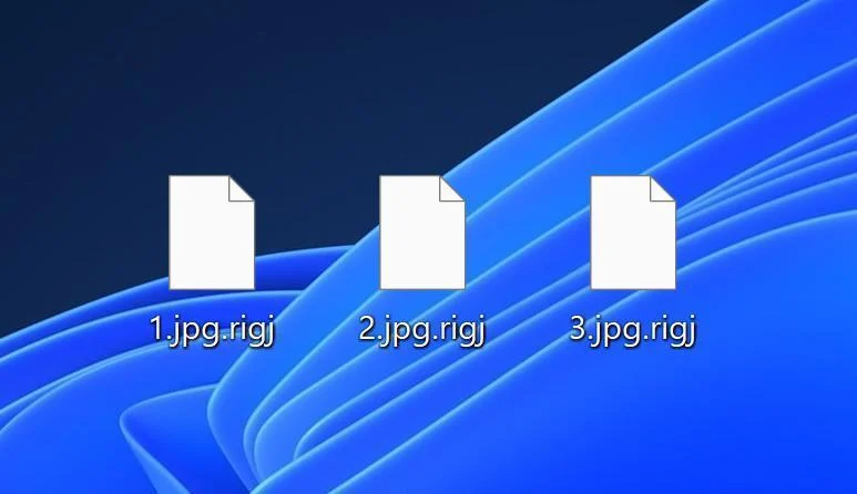 How to Remove RIGJ Ransomware (Virus Removal Guide) 1 Image: Robm files encrypted