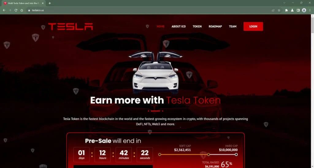 Tesla Token Scam