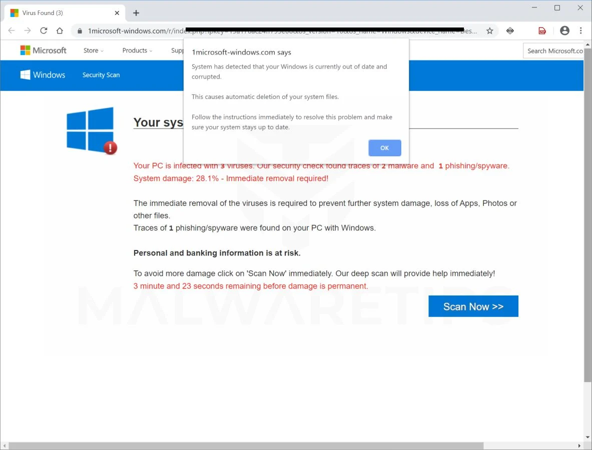 Image: 1microsoft-windows.com fake error messages