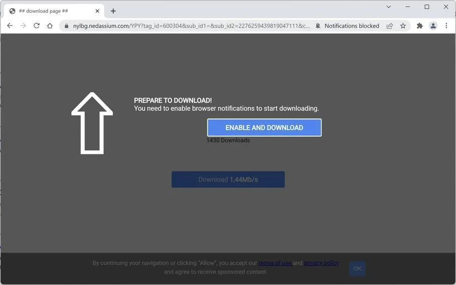 How to Remove Nedassium.com Pop-up Ads (Virus Removal Guide) 1 Image: Chrome browser is redirected to Nedassium.com