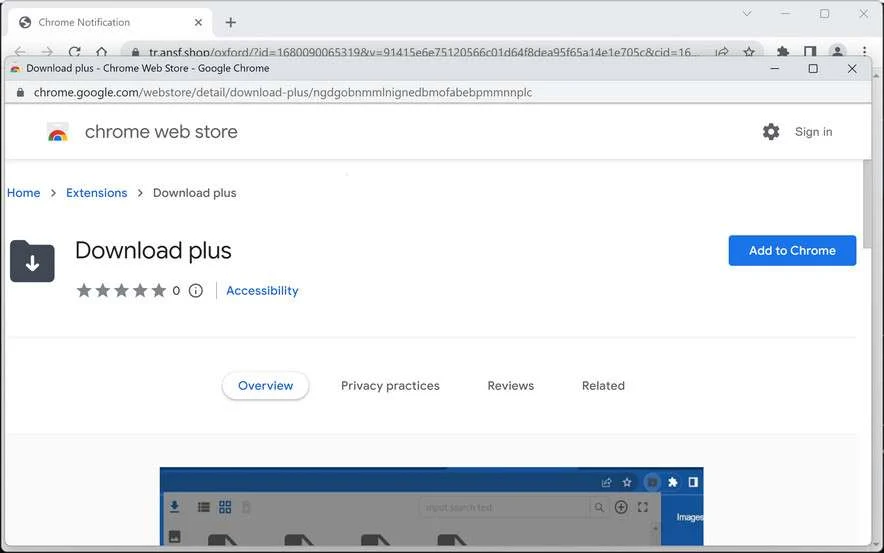 Image: Download Plus Chrome Extension