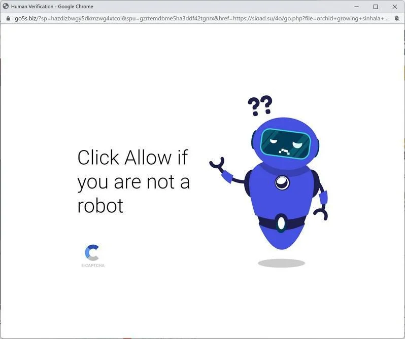 How to Remove Go5s.biz Pop-up Ads (Virus Removal Guide) 1 Image: Chrome browser is redirected to Go5s.biz
