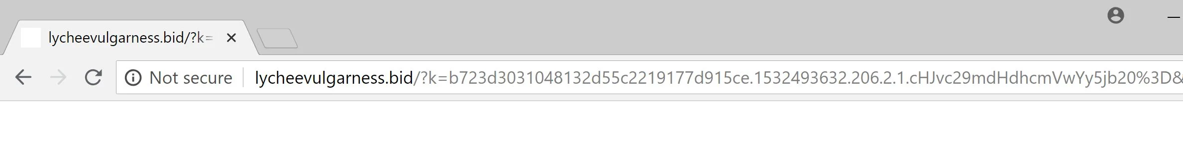 lycheevulgarness.bid redirect virus