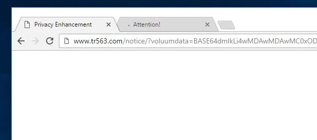 www.tr563.com virus