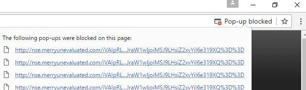 Nse.merryunevaluated.com virus