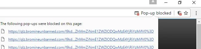 qlz.bromineunbanned.com virus