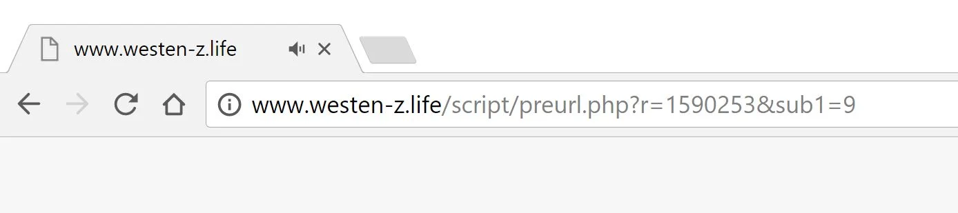 Westen-z.life redirect virus