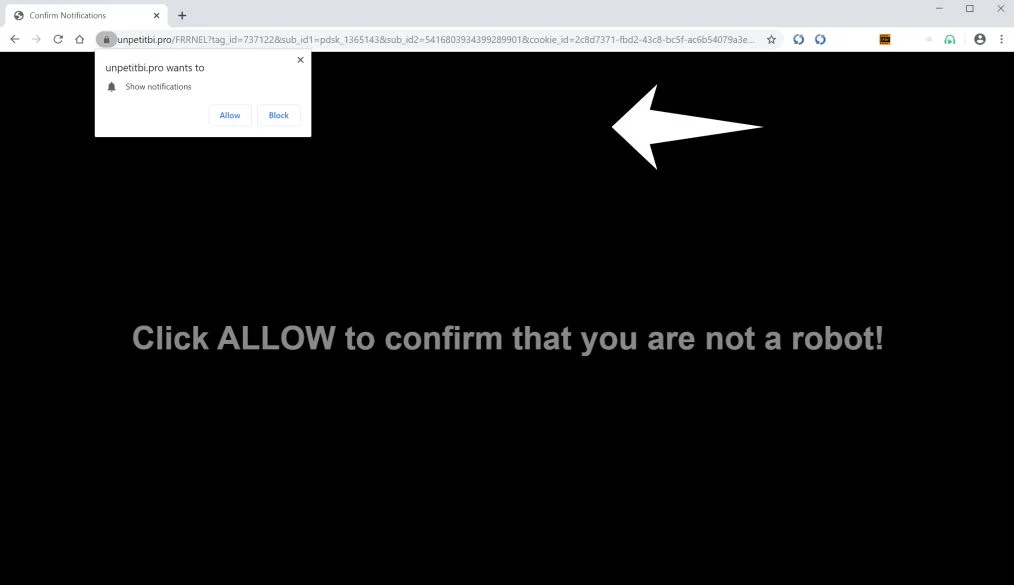 Image: Chrome browser is redirected to Unpetitbi.pro