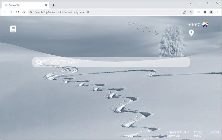 How to Remove Snowy Tab Browser Hijacker (Virus Removal Guide) 1 Image: Snowy Tab new tab page