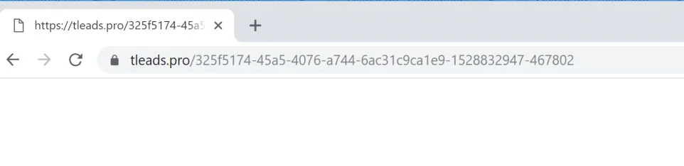 Tleads.pro redirect virus