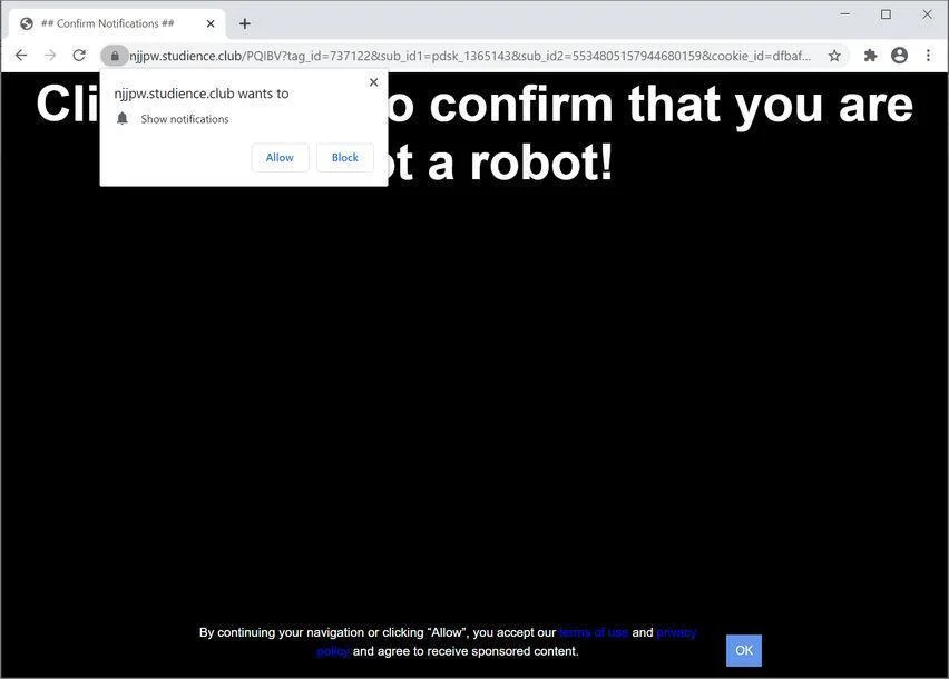 Image: Chrome browser is redirected to Studience.club
