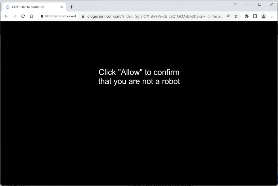 Image: Ologeysurincon.com Ads
