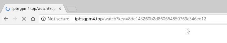 ipbsgpm4.top redirect virus