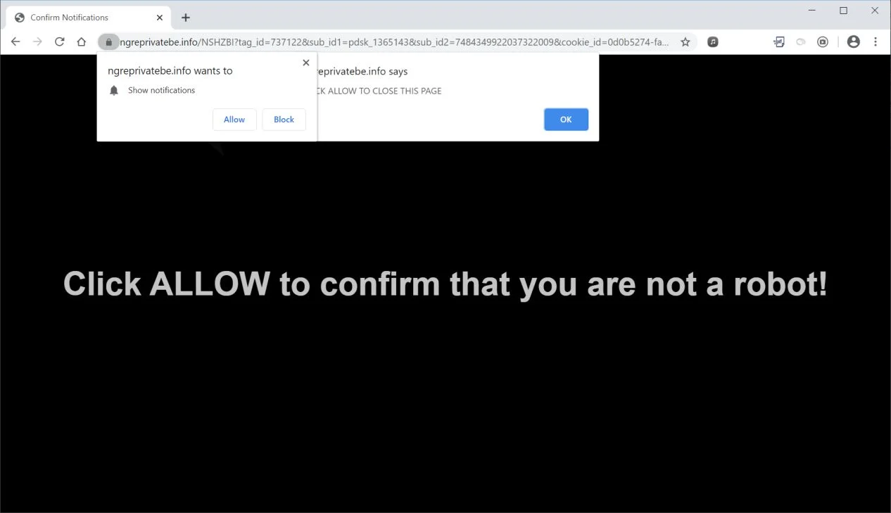 How to remove Ngreprivatebe.info pop-up ads (Virus Removal Guide) 1 Image: Chrome browser is redirected to Ngreprivatebe.info