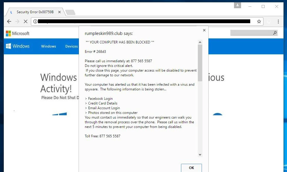 Security Error 0x00759B Virus