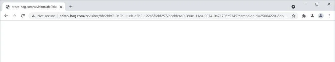 Remove Aristo-hag.com redirect (Virus Removal Guide) 1 Image: Chrome browser is redirected to Aristo-hag.com