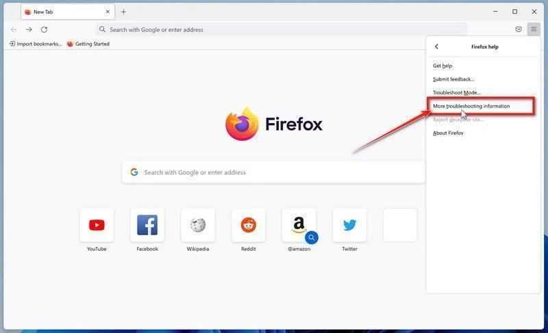 Click More Troubleshooting Information