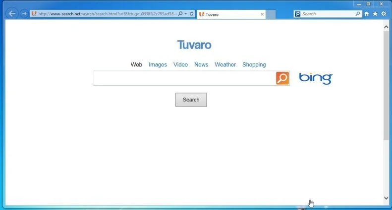 www-search.net redirect www-search.net virus