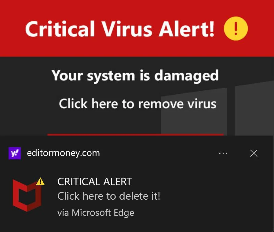 Image: McAfee Your System Is Damaged Fake Alerts